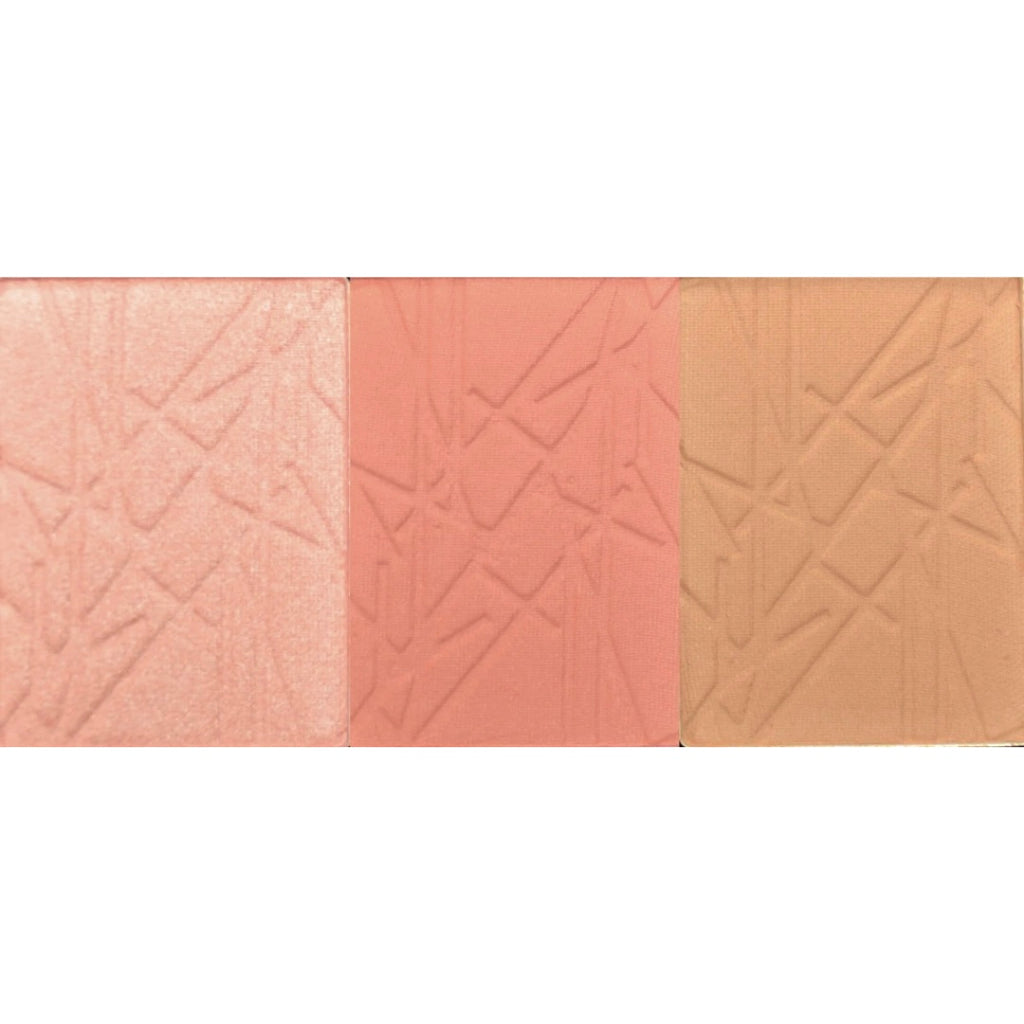 Studio Pro Cheek Palette in Light Hues