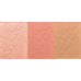 Studio Pro Cheek Palette in Light Hues