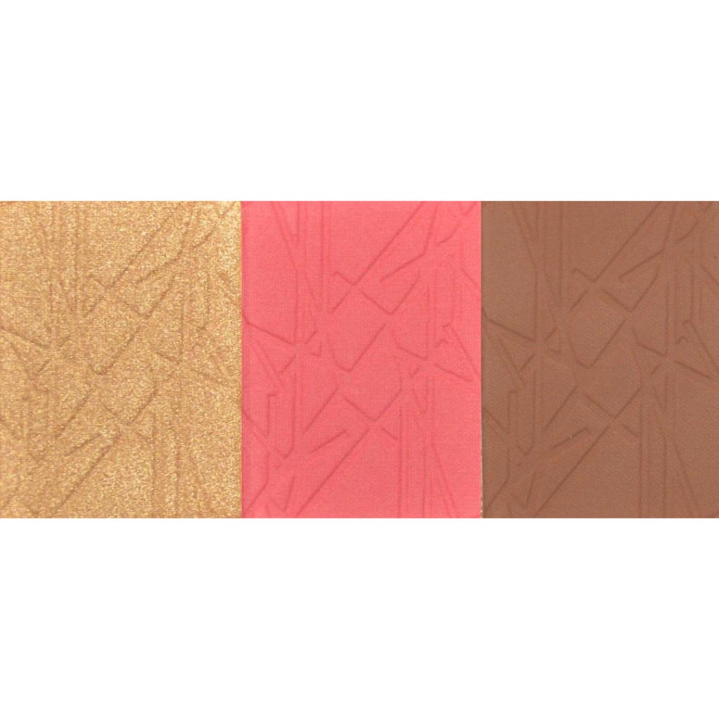 Studio Pro Cheek Palette in Dark Hues