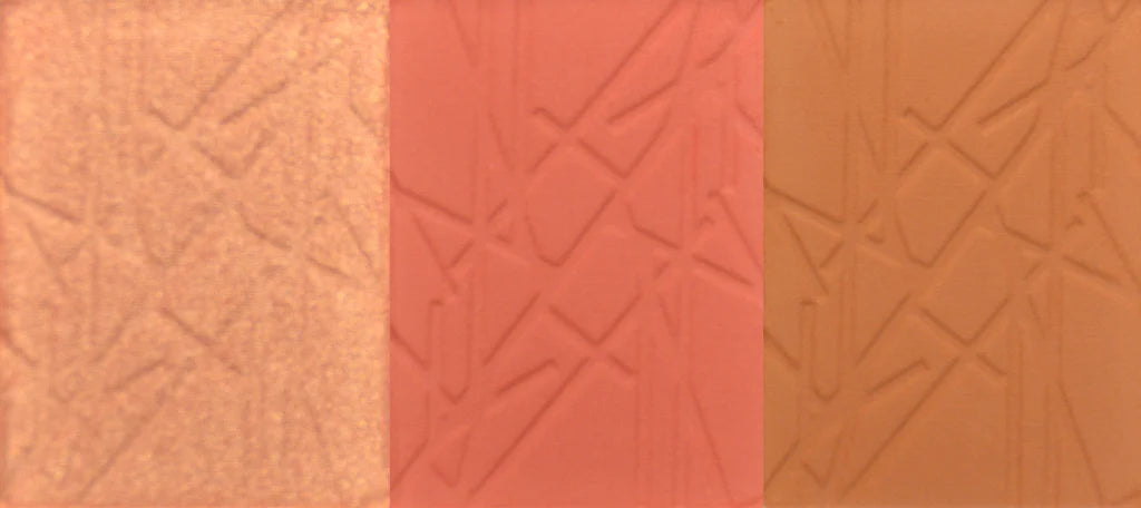 Studio Pro Cheek Palette in Medium Hues