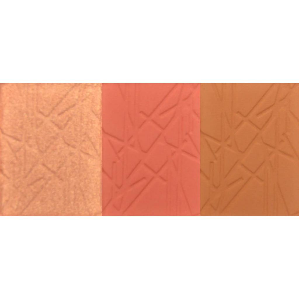 Studio Pro Cheek Palette in Medium Hues